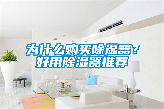 為什么購買除濕器?好用除濕器推薦