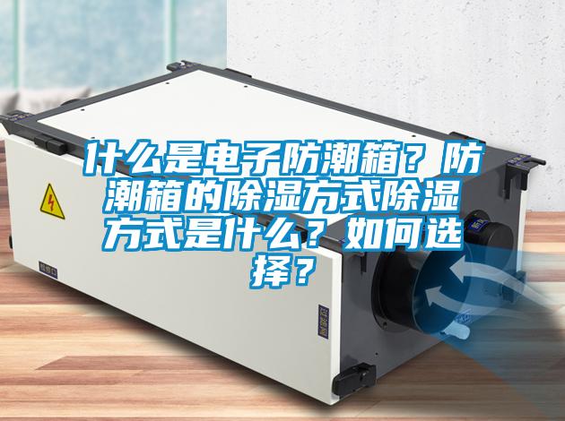 什么是電子防潮箱？防潮箱的除濕方式除濕方式是什么？如何選擇？