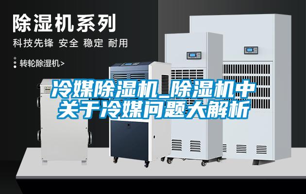 冷媒除濕機_除濕機中關(guān)于冷媒問題大解析