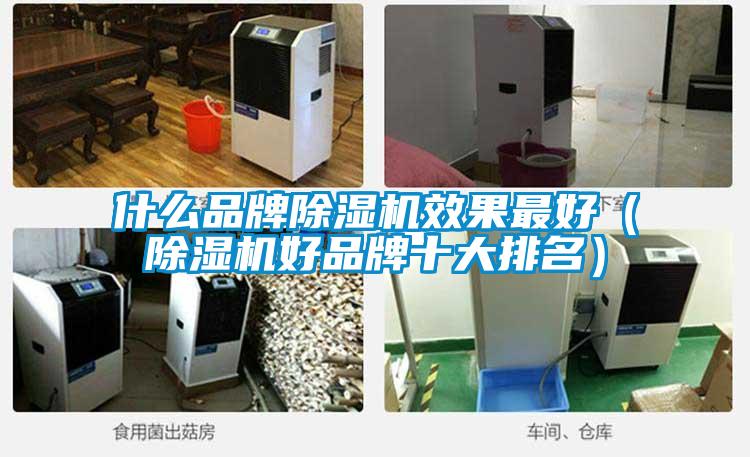 什么品牌除濕機效果最好(除濕機好品牌十大排名)