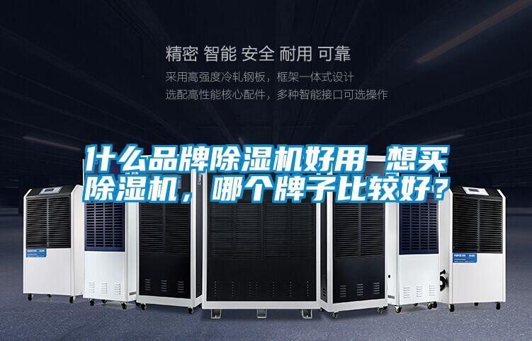 什么品牌除濕機好用 想買除濕機，哪個牌子比較好？