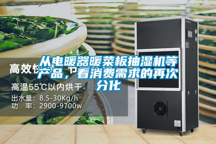 從電暖器暖菜板抽濕機(jī)等產(chǎn)品,看消費(fèi)需求的再次分化