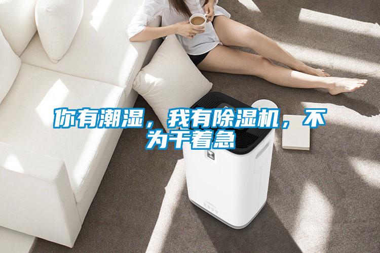 你有潮濕,我有除濕機,不為干著急