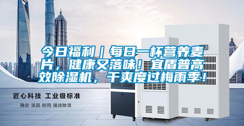 今日福利｜每日一杯營養麥片，健康又落味！宜盾普高效除濕機，干爽度過梅雨季！