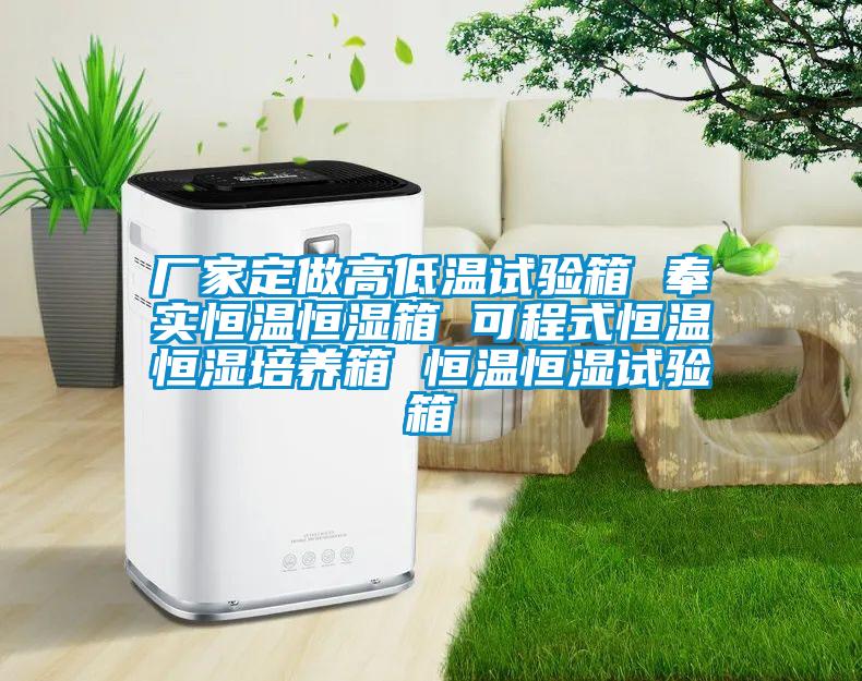 廠家定做高低溫試驗箱 奉實恒溫恒濕箱 可程式恒溫恒濕培養箱 恒溫恒濕試驗箱