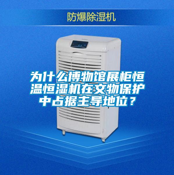 為什么博物館展柜恒溫恒濕機在文物保護中占據主導地位？