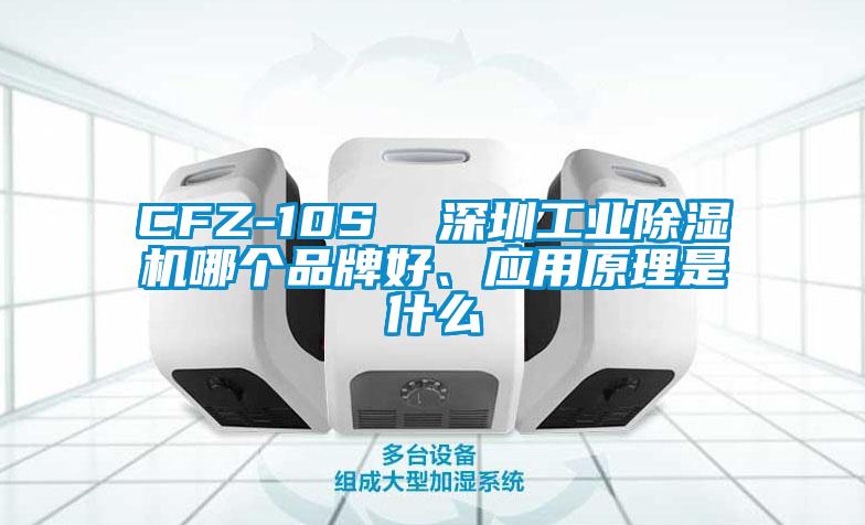 CFZ-10S  深圳工業除濕機哪個品牌好、應用原理是什么
