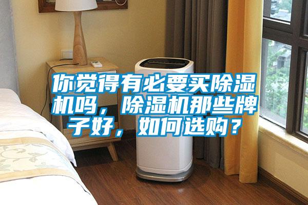 你覺得有必要買除濕機嗎,除濕機那些牌子好,如何選購?