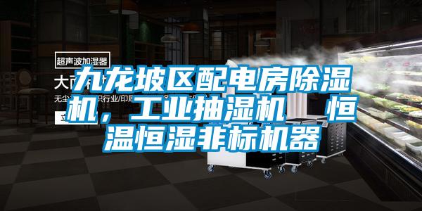 九龍坡區(qū)配電房除濕機,工業(yè)抽濕機 恒溫恒濕非標機器