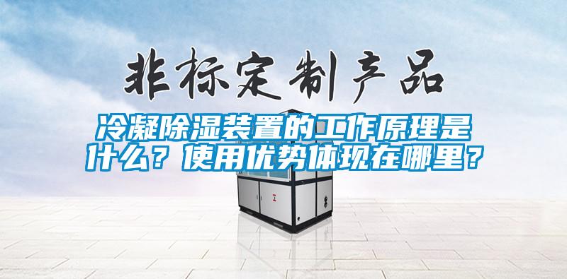 冷凝除濕裝置的工作原理是什么?使用優勢體現在哪里?