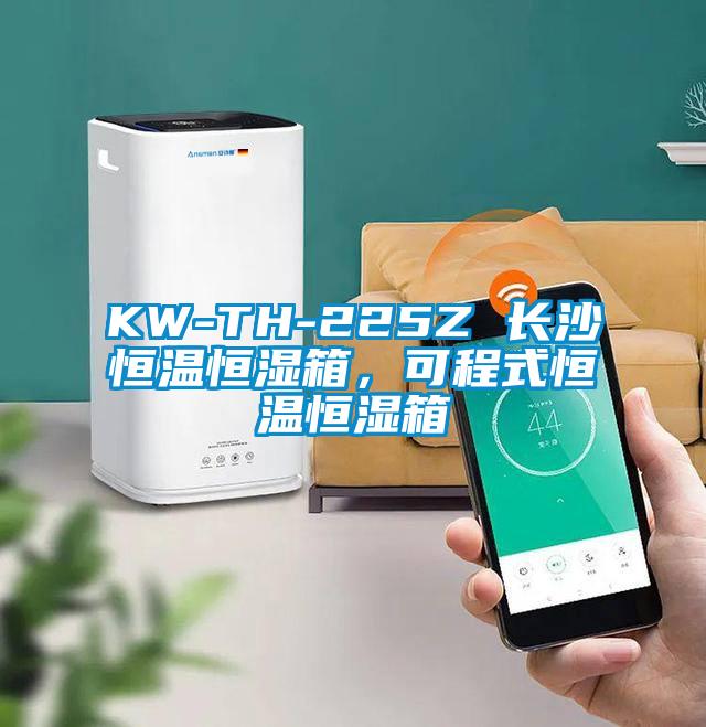 KW-TH-225Z 長(zhǎng)沙恒溫恒濕箱,可程式恒溫恒濕箱