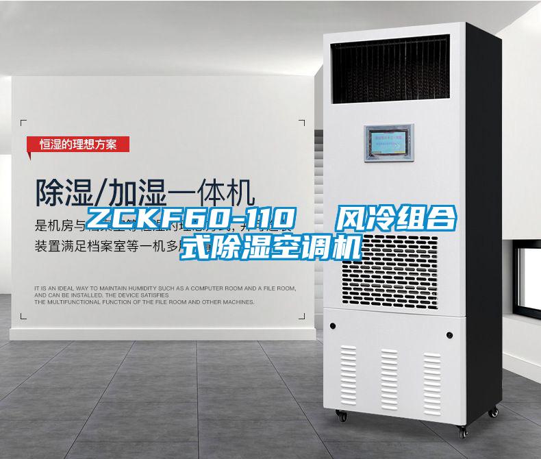 ZCKF60-110 風冷組合式除濕空調機