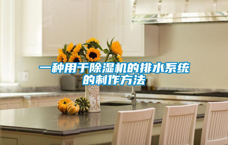 一種用于除濕機的排水系統的制作方法