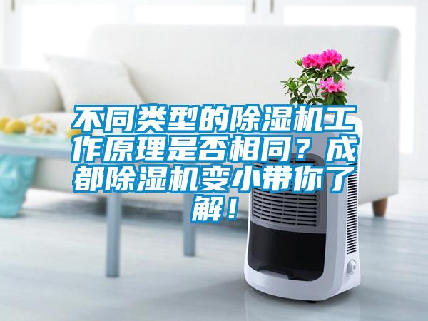 不同類型的除濕機工作原理是否相同?成都除濕機變小帶你了解!