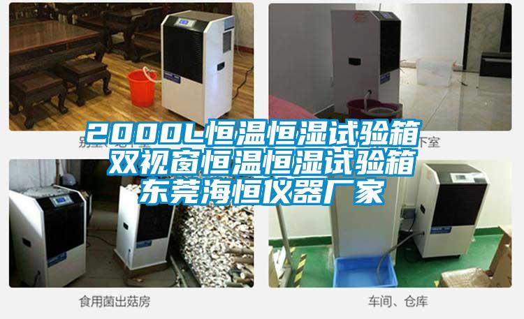 2000L恒溫恒濕試驗箱 雙視窗恒溫恒濕試驗箱 東莞海恒儀器廠家