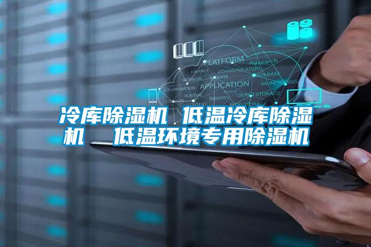 冷庫除濕機 低溫冷庫除濕機 低溫環境專用除濕機
