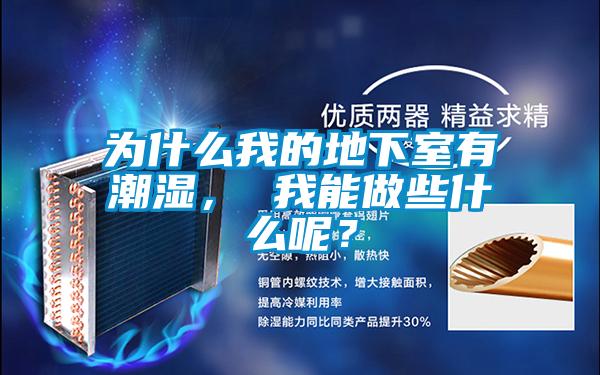 為什么我的地下室有潮濕， 我能做些什么呢？