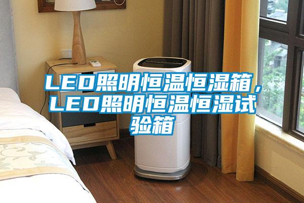 LED照明恒溫恒濕箱,LED照明恒溫恒濕試驗箱