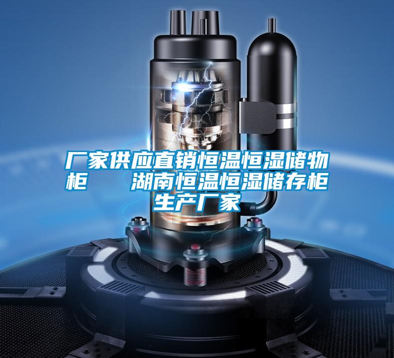 廠家供應直銷恒溫恒濕儲物柜   湖南恒溫恒濕儲存柜生產廠家