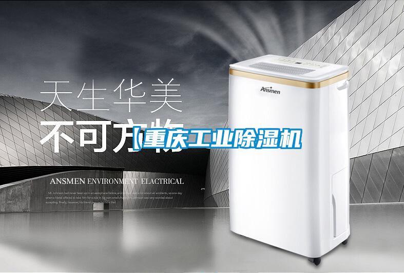 【重慶工業除濕機