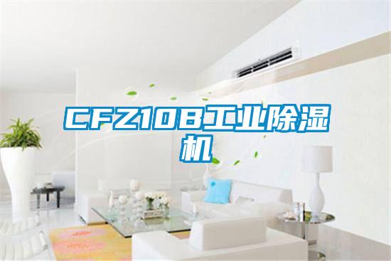 CFZ10B工業除濕機