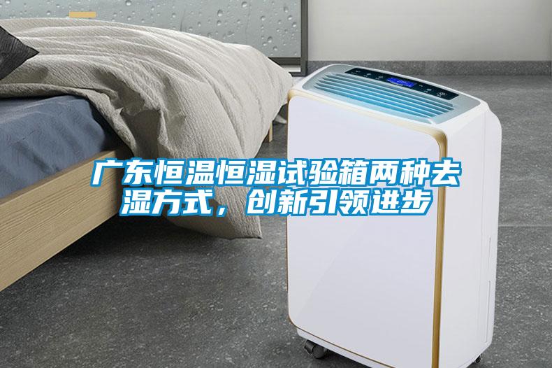 廣東恒溫恒濕試驗箱兩種去濕方式,創新引領進步