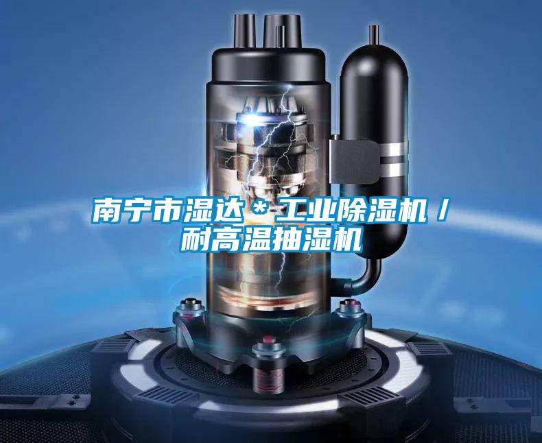 南寧市濕達*工業除濕機/耐高溫抽濕機