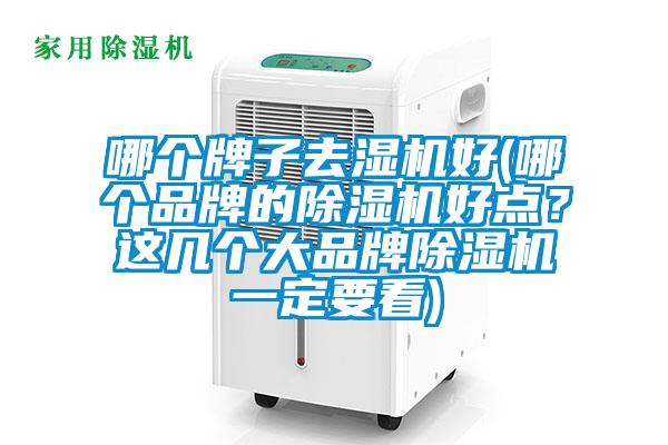 哪個牌子去濕機好(哪個品牌的除濕機好點?這幾個大品牌除濕機一定要看)