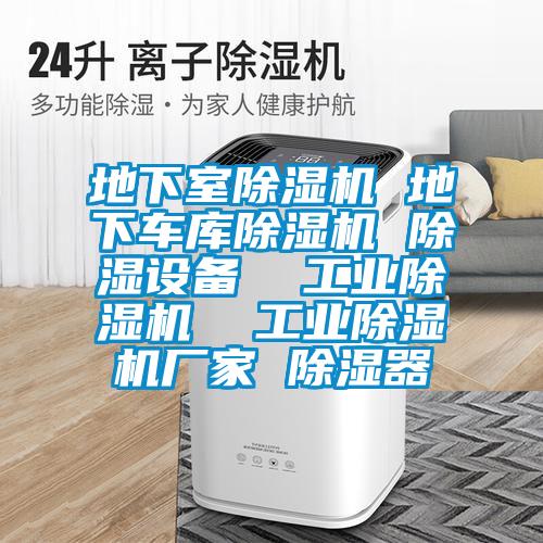 地下室除濕機 地下車庫除濕機 除濕設(shè)備 工業(yè)除濕機 工業(yè)除濕機廠家 除濕器
