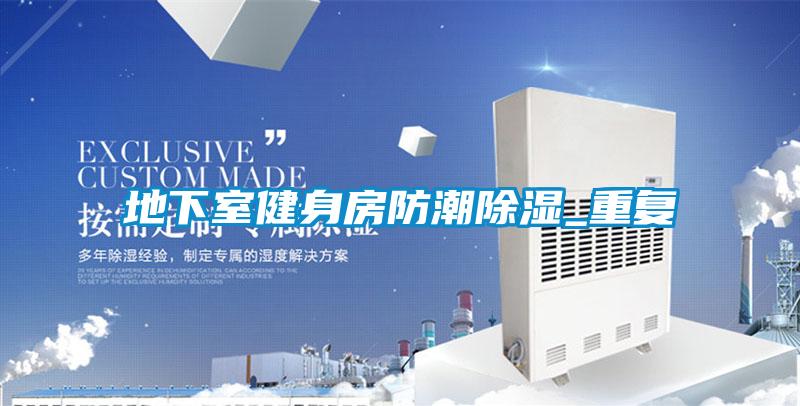 地下室健身房防潮除濕_重復(fù)