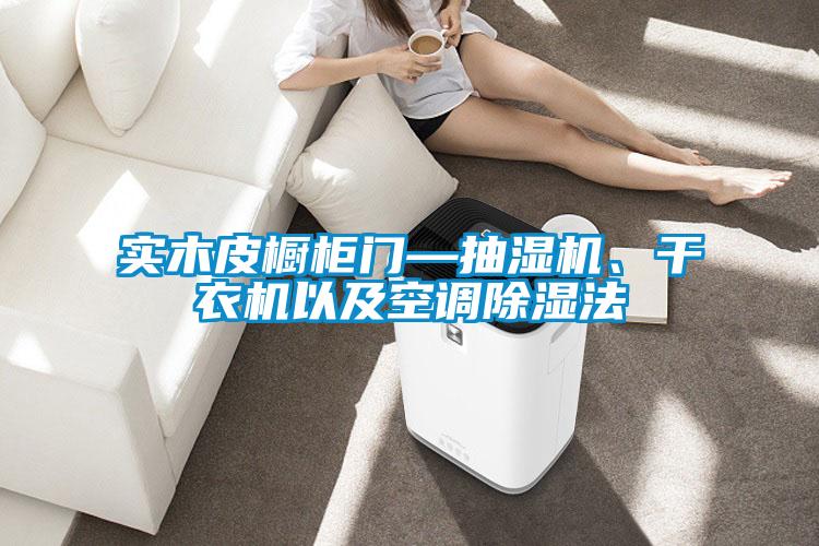 實木皮櫥柜門—抽濕機、干衣機以及空調除濕法