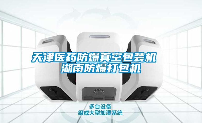 天津醫藥防爆真空包裝機 湖南防爆打包機