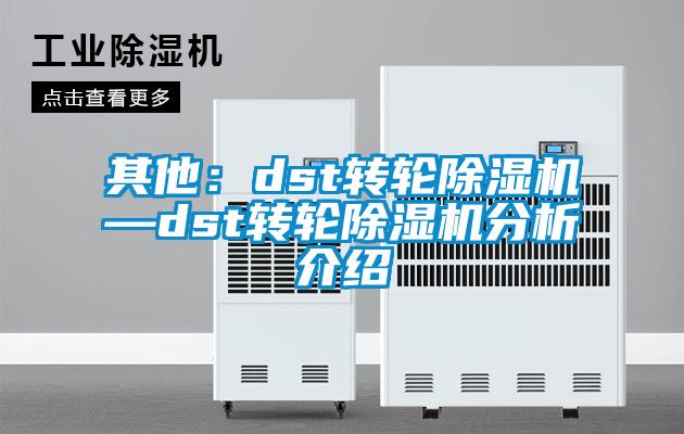 其他:dst轉輪除濕機—dst轉輪除濕機分析介紹