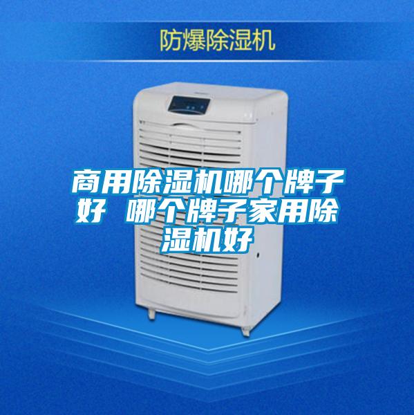 商用除濕機(jī)哪個(gè)牌子好 哪個(gè)牌子家用除濕機(jī)好