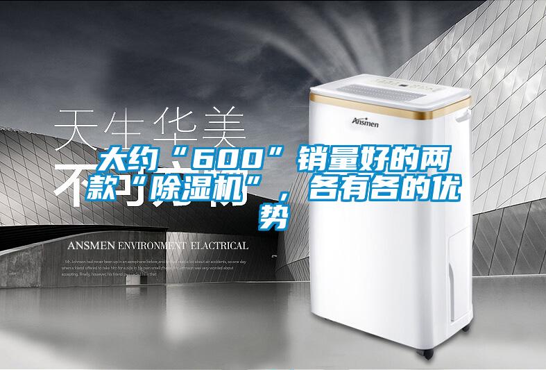 大約“600”銷量好的兩款“除濕機”，各有各的優勢