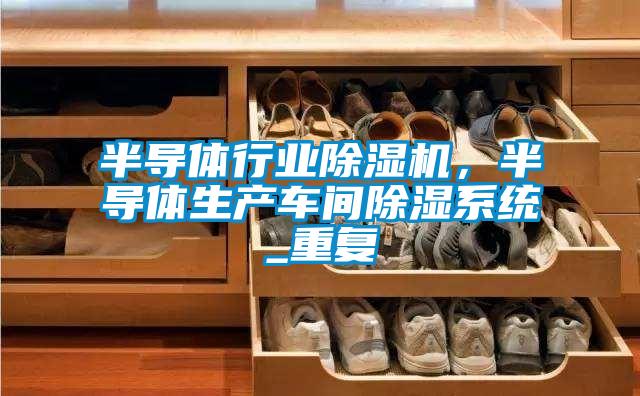 半導(dǎo)體行業(yè)除濕機(jī)，半導(dǎo)體生產(chǎn)車間除濕系統(tǒng)_重復(fù)