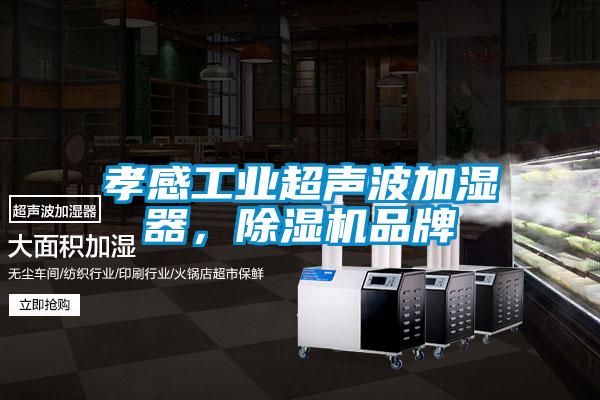 孝感工業超聲波加濕器，除濕機品牌