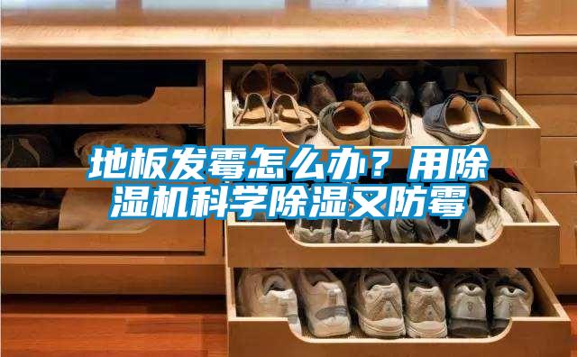 地板發霉怎么辦？用除濕機科學除濕又防霉