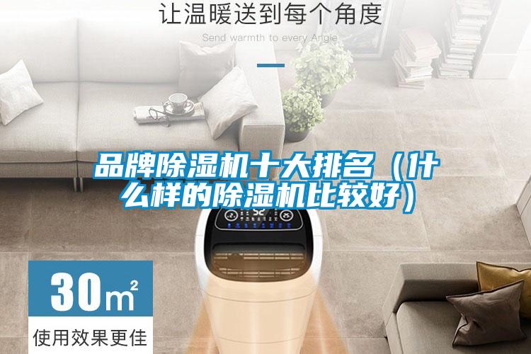 品牌除濕機十大排名（什么樣的除濕機比較好）
