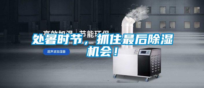 處暑時節,抓住最后除濕機會!