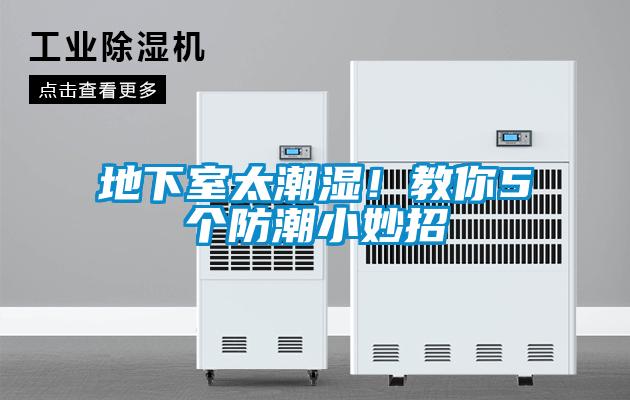 地下室太潮濕!教你5個(gè)防潮小妙招