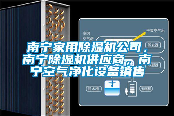 南寧家用除濕機公司，南寧除濕機供應商，南寧空氣凈化設備銷售