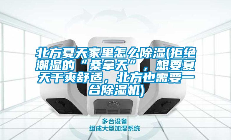 北方夏天家里怎么除濕(拒絕潮濕的“桑拿天”,想要夏天干爽舒適,北方也需要一臺(tái)除濕機(jī))