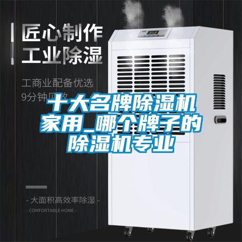 十大名牌除濕機家用_哪個牌子的除濕機專業