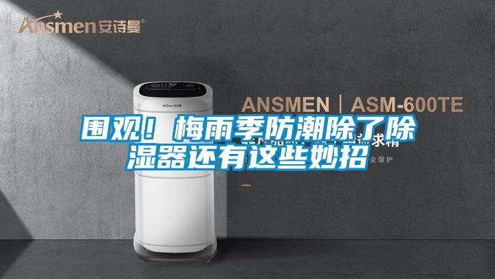 圍觀!梅雨季防潮除了除濕器還有這些妙招