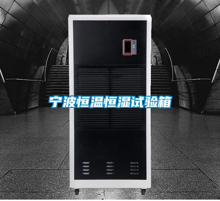 寧波恒溫恒濕試驗箱