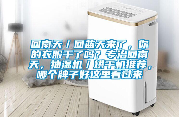 回南天／回藍天來了，你的衣服干了嗎？專治回南天，抽濕機／烘干機推薦，哪個牌子好這里看過來