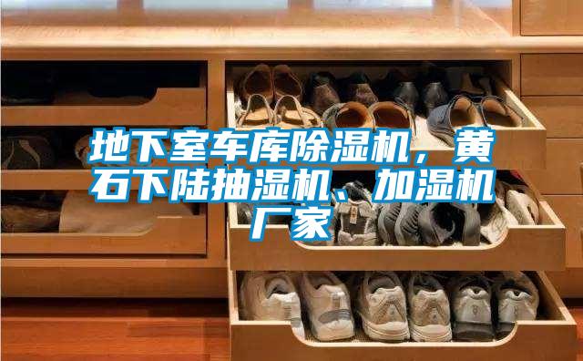 地下室車庫除濕機,黃石下陸抽濕機、加濕機廠家