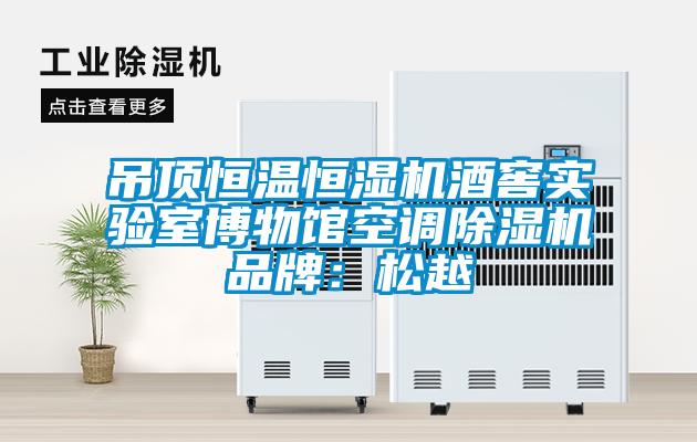 吊頂恒溫恒濕機酒窖實驗室博物館空調除濕機品牌：松越