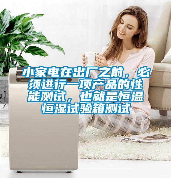 小家電在出廠之前，必須進行一項產品的性能測試，也就是恒溫恒濕試驗箱測試